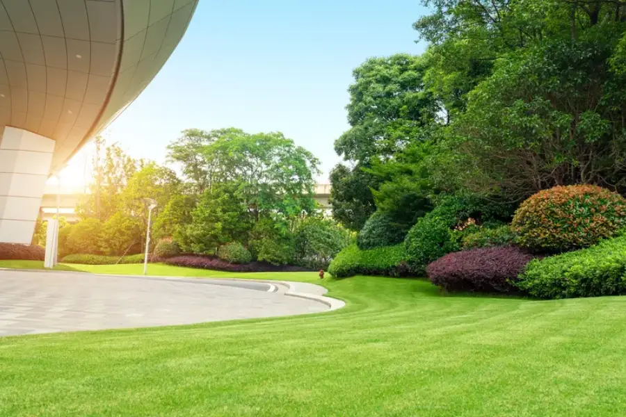 Commercial Landscaping Services
