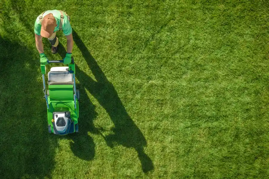 Grass Mowing